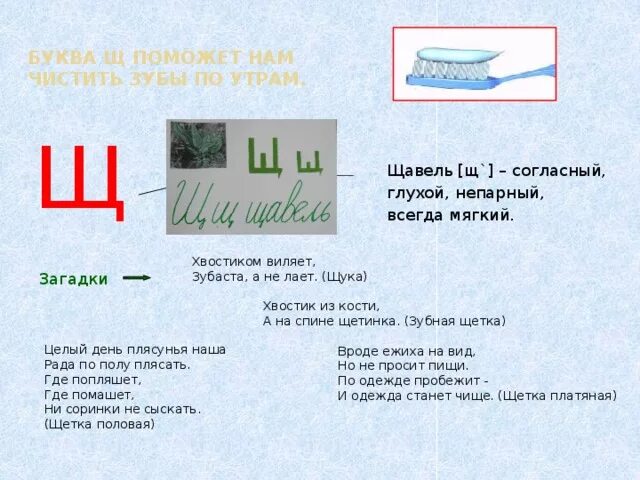 Звук обозначающий букву щ. Буква щ. Проект буква щ. Описание буквы щ для 1 класса. Буква щ стихи для детей.