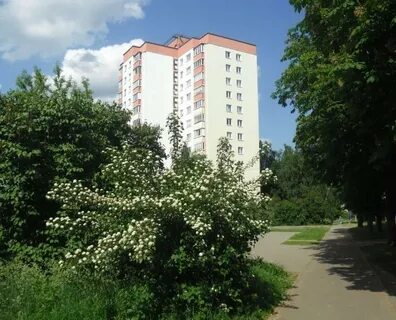 113 корпус 2