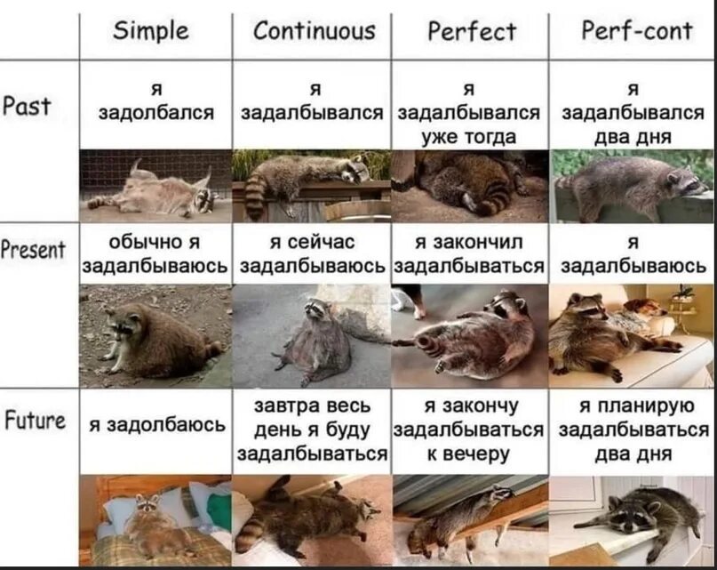 Лицо его как раз в это время
