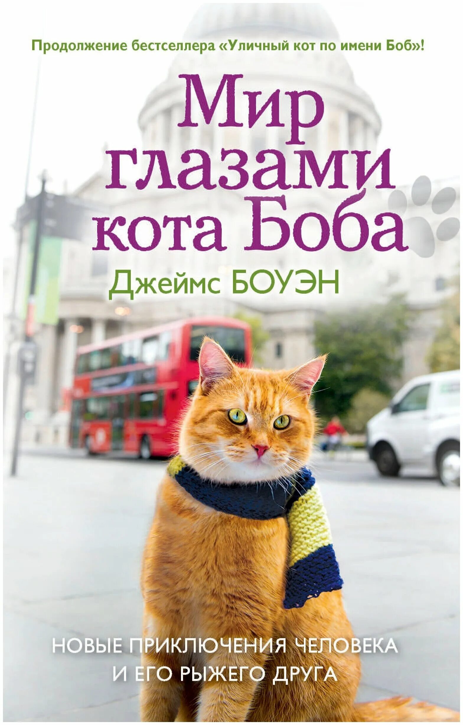 кот по имени боб детская книга. мир глазами боба. боуэн мир глазами кота боба. книга джеймс боуэн, «кот по имени боб». кот по имени боб книга иллюстрации.