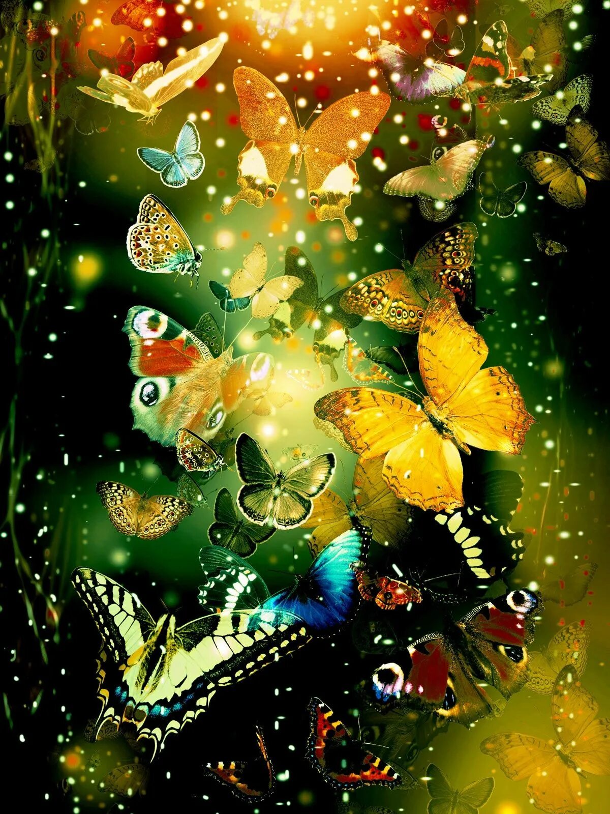 Лучшие вертикальные заставки. Картины бабочек красивых. Волшебные бабочки. Шикарные темы для телефона. Яркие картинки на телефон андроид.