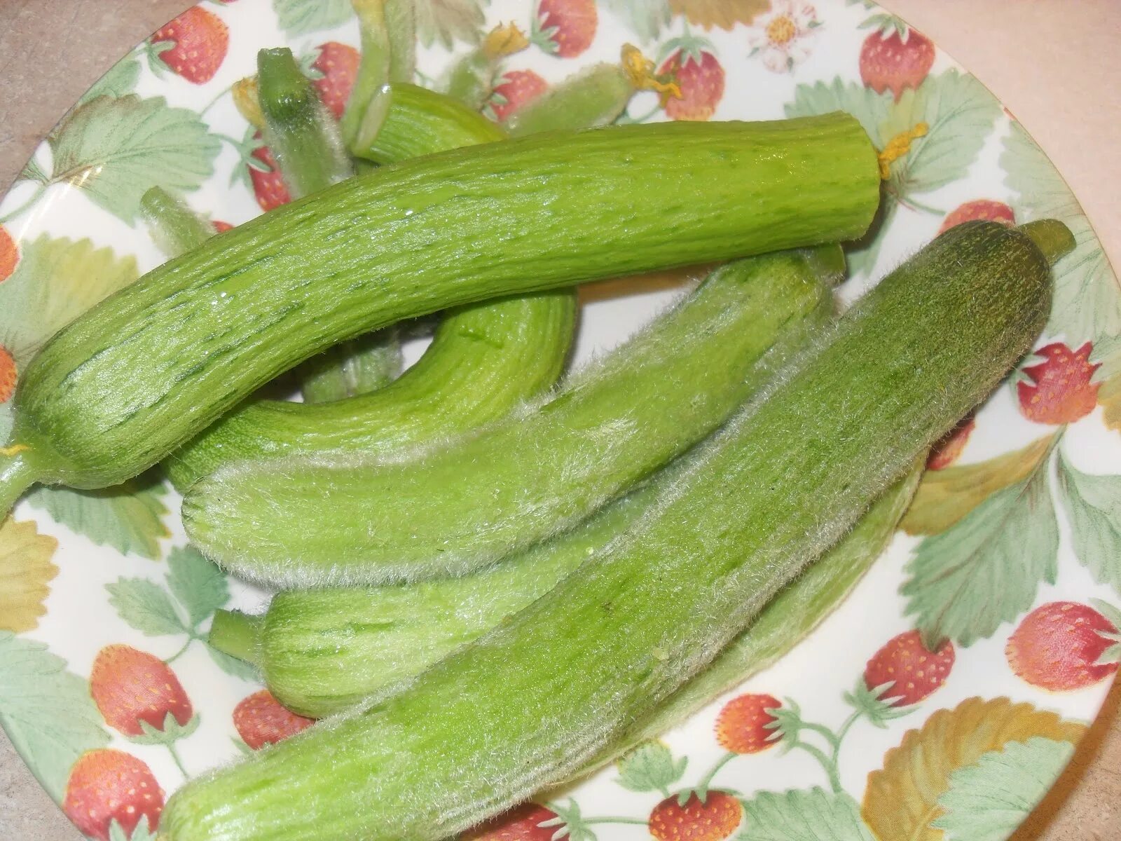 Кукумбер что это