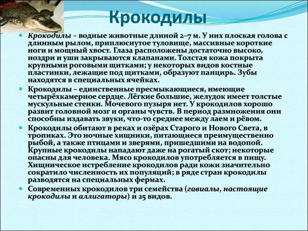 Доклад про крокодила. Доклад про крокодила 7 класс. Презентация 7 класс про крокодила. Сообщение о пресмыкающихся крокодил.