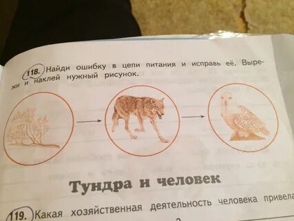 Вставь в цепь