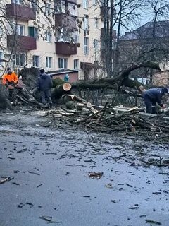 Чп 3