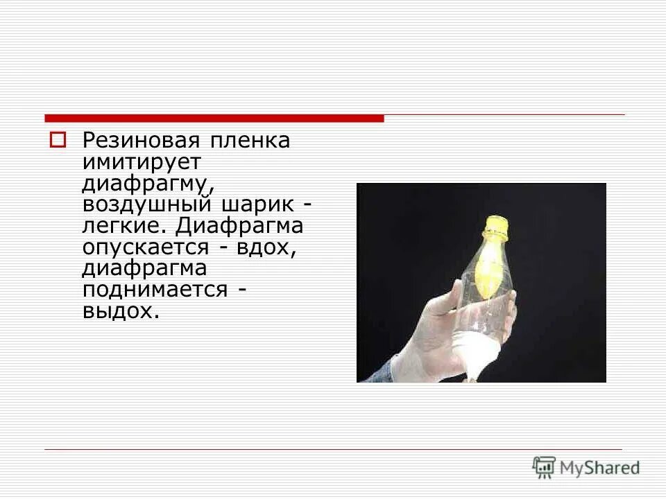 Схема дондерса физиология. Опыт дондерса физиология. Опыт работа легких. Модель дондерса механизм вдоха и выдоха. Схема дондерса физиология.
