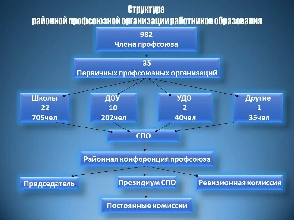 Совет профсоюзной организации. Структура профсоюза. Структура первичной профсоюзной организации. Документация профсоюза. Структура профсоюзного комитета школы.