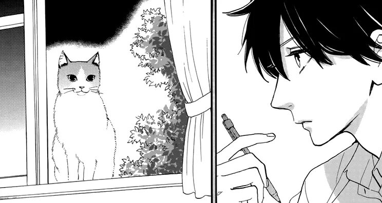 Yoru manga. Кошка манга. Табакошка манга. Котики из манги. Вечера с кошкой манга.