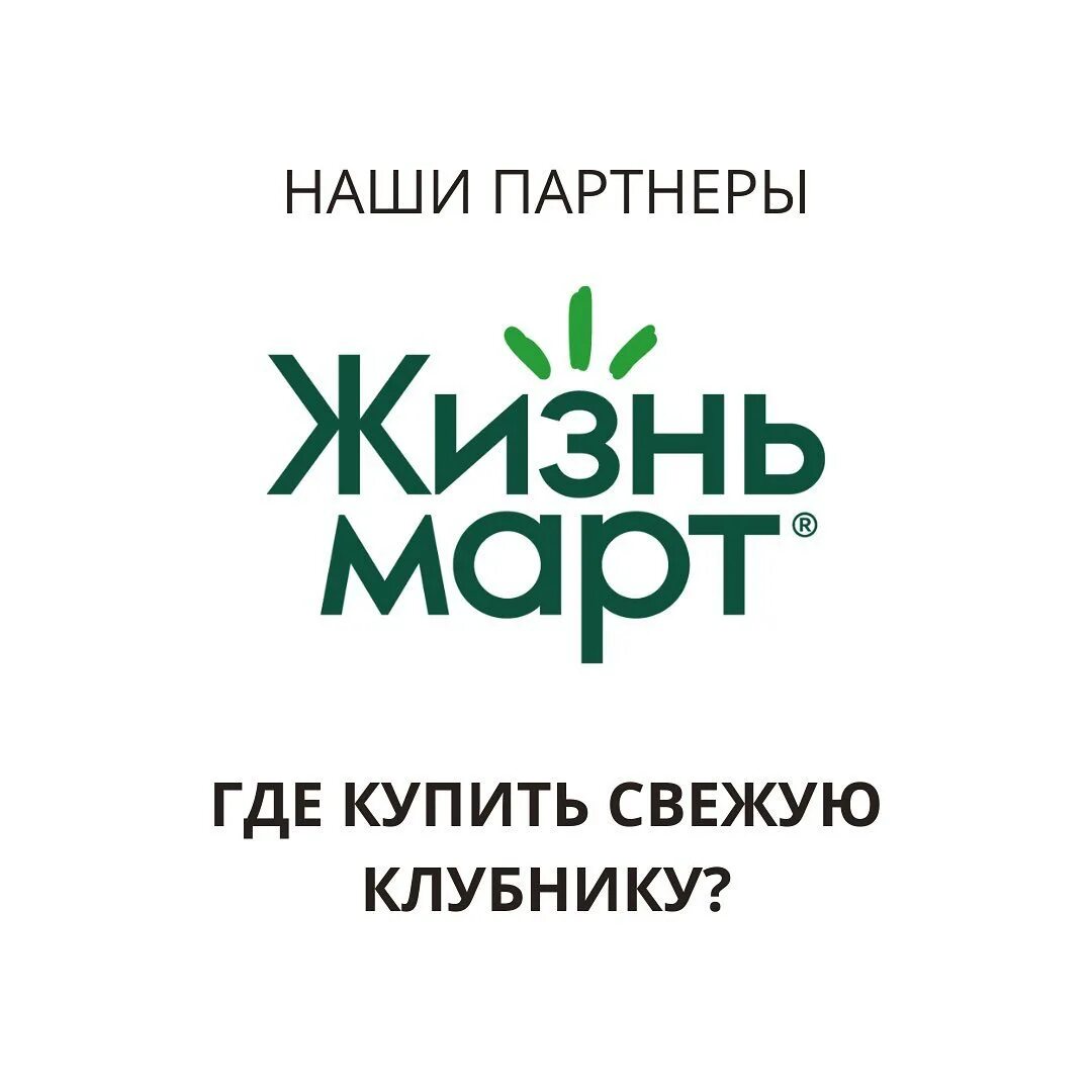 Почему жизнь март. Почему жизнь март