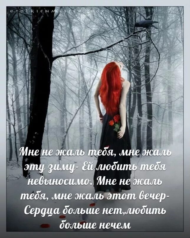 Мне жаль твою новую девчонку. Мне жаль. мне жаль картинки. мне тебя не жаль не жаль не жаль. мне тебя жаль.