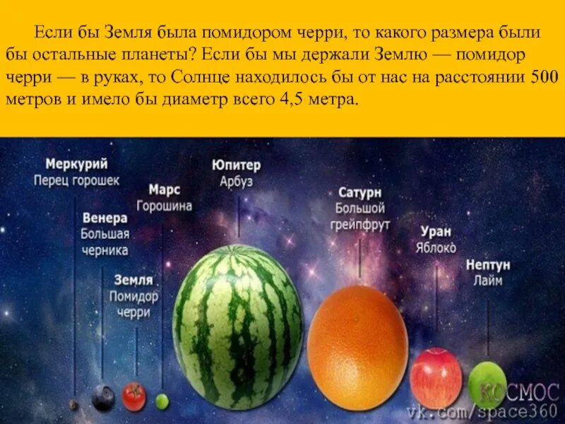 Планеты солнечной системы в сравнении. Диаметр планеты земля. Сравнение солнечной системы и фруктов. Сопоставление солнца и земли. Сколько размера земля