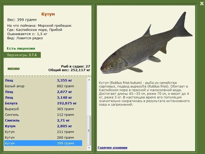 Рыба Каспийского моря кутум. Рыба в Каспийском море кутум. Какие рыбы обитают в Каспийском море. Рыба обитающая в Каспийском море. Какая рыба водится в каспийском