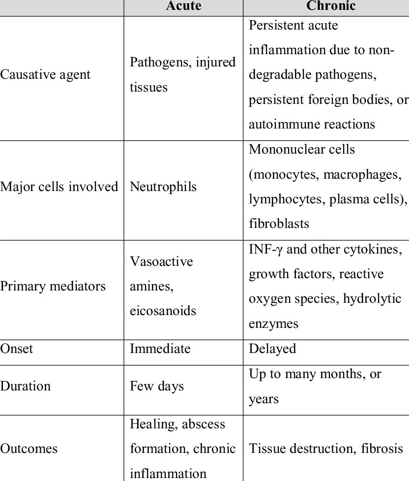 Acute перевод. Chronic inflammation. Acute inflammation. Types of inflammation. Acute and chronic.