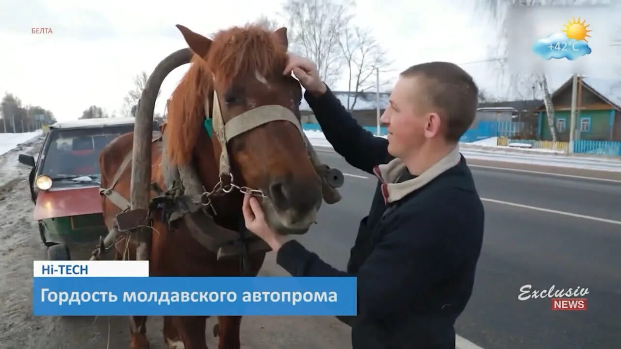 Новости александрова подслушано александров