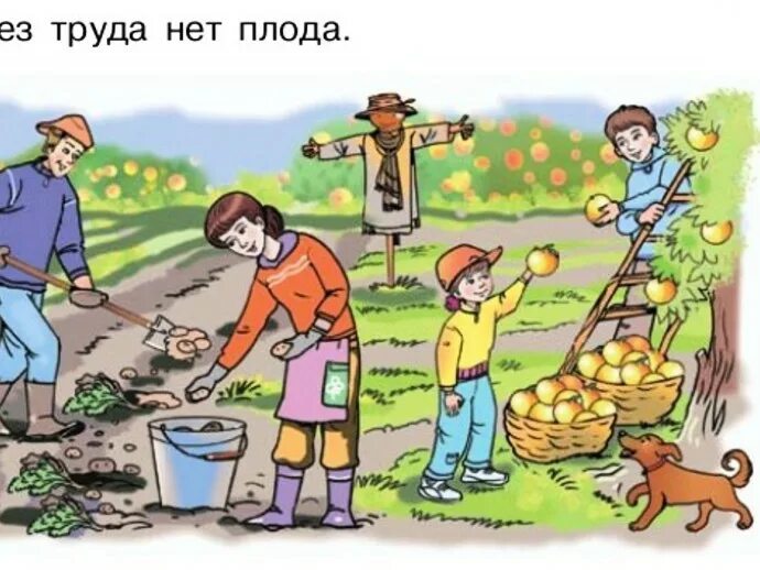 Труд дошкольников. Пословица делу время. Без труда нет хорошего плода пословица. Рисунок к пословице без труда нет плода. Без труда нет хорошего плода пословица.