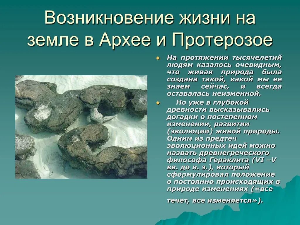 Жизнь возникла в эру. Возникновение жизни на земле. Развитие жизни на земле. Архей и протерозой презентация. Эры Архей протерозой.