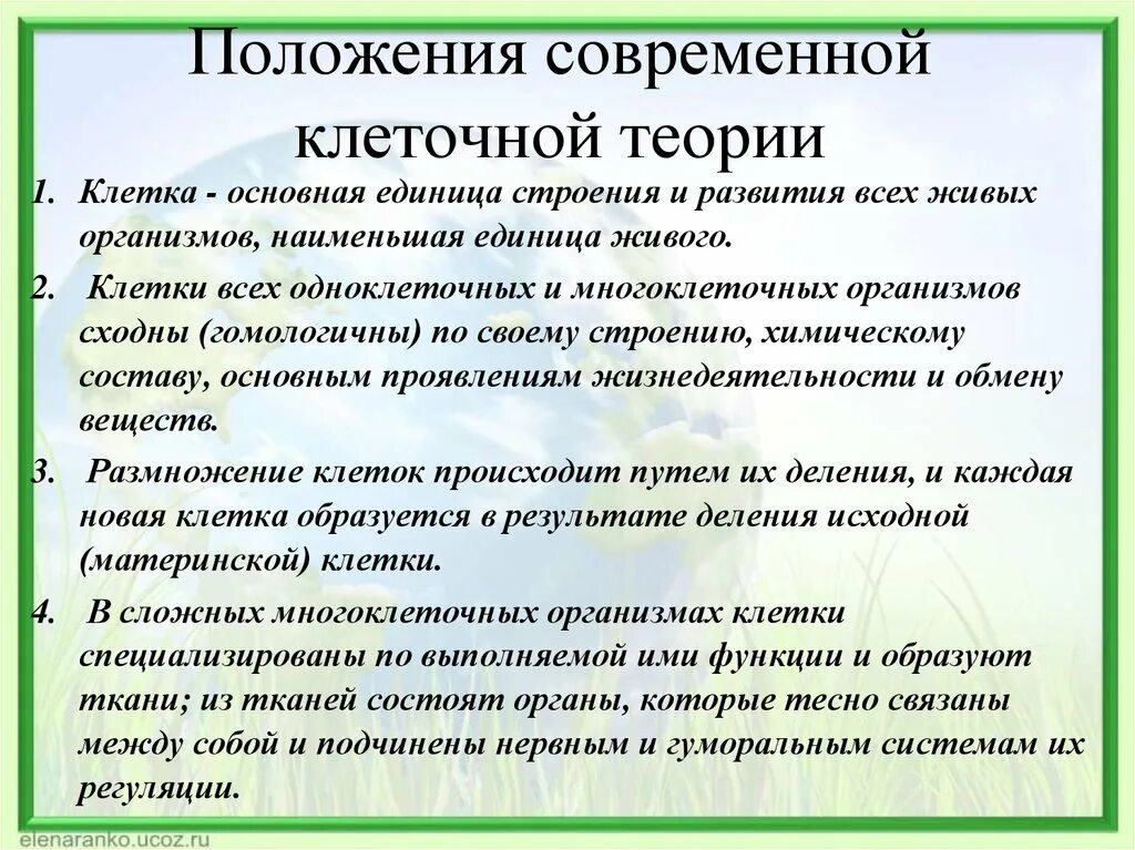 Современная теория строения. Положения современной клеточной теории. Основы положения клеточной теории. Строение клетки основные положения клеточной теории. Основные положения клеточной теории строения организмов.