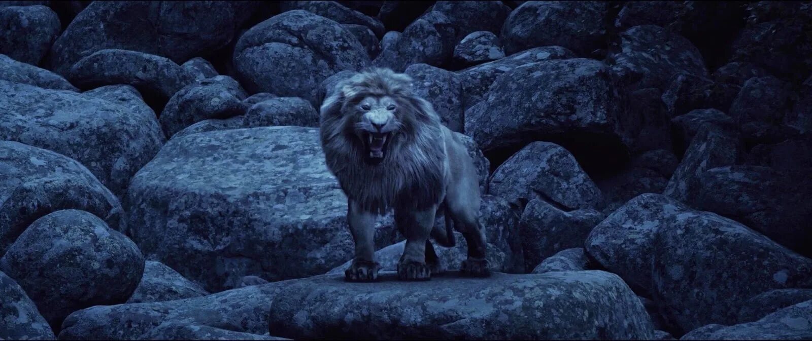 Настоящий лев. Лев 2014. Лев 2014. Лев 2014. Лев фильм 2016 афиша.