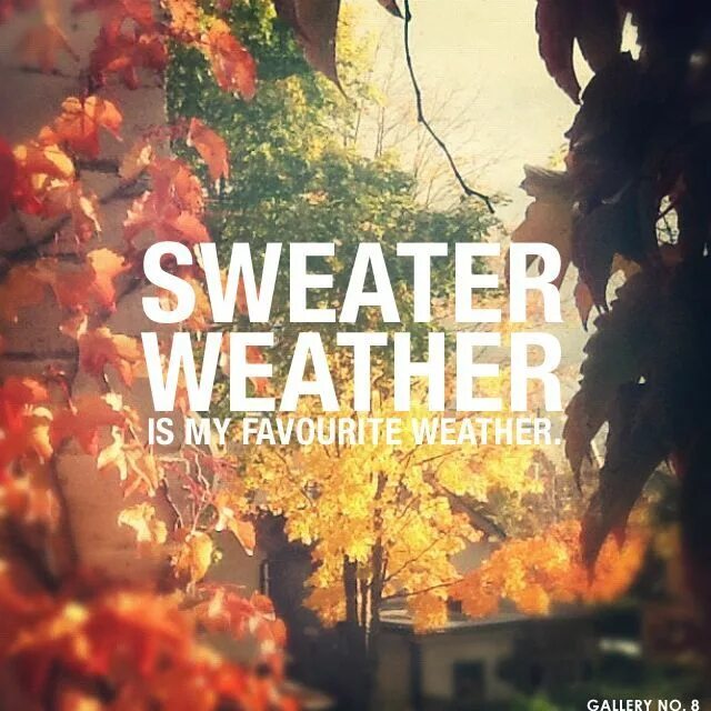 Fall i need