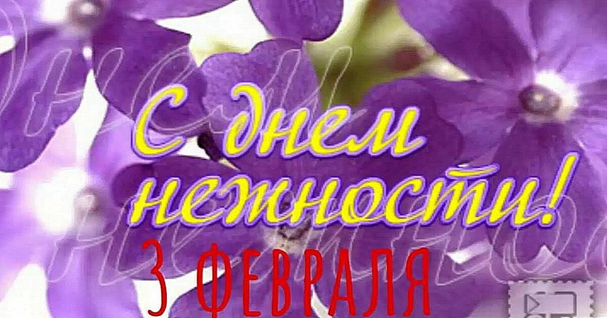 День нежности картинки 3 февраля прикольные. День нежности 3 февраля. Открытки с международным днем нежности. День нежности 2024. День нежности 3 февраля картинки поздравления.