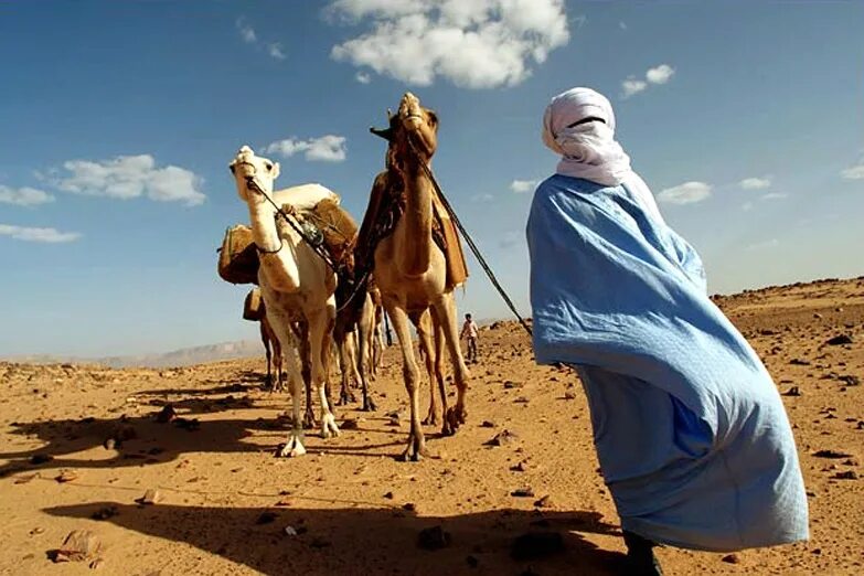 Занятия людей в пустыне. Туарег житель пустыни. Туарег Египет. Араб в пустыне. Туарег на верблюде.