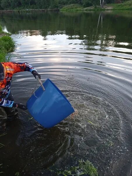 Пионерский пруд в селятино платная рыбалка. Пруд пионер саратовская. Пруд пионер саратовская. Пионерский пруд домодедово. Пионерский пруд парк горького.