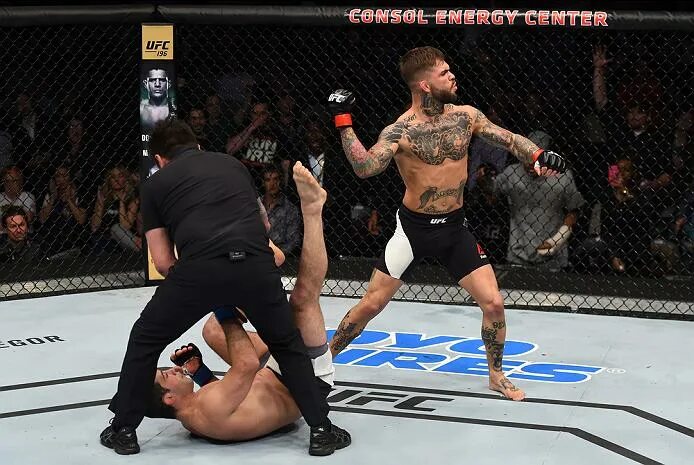 Ufc кода