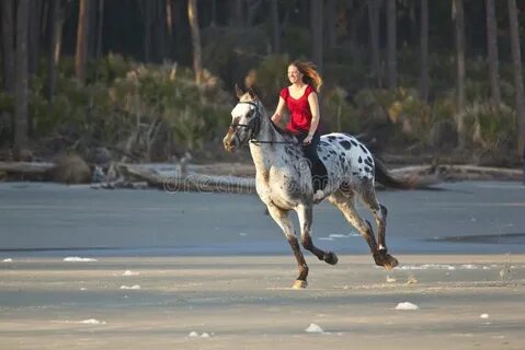 Женщина на лошади без седла