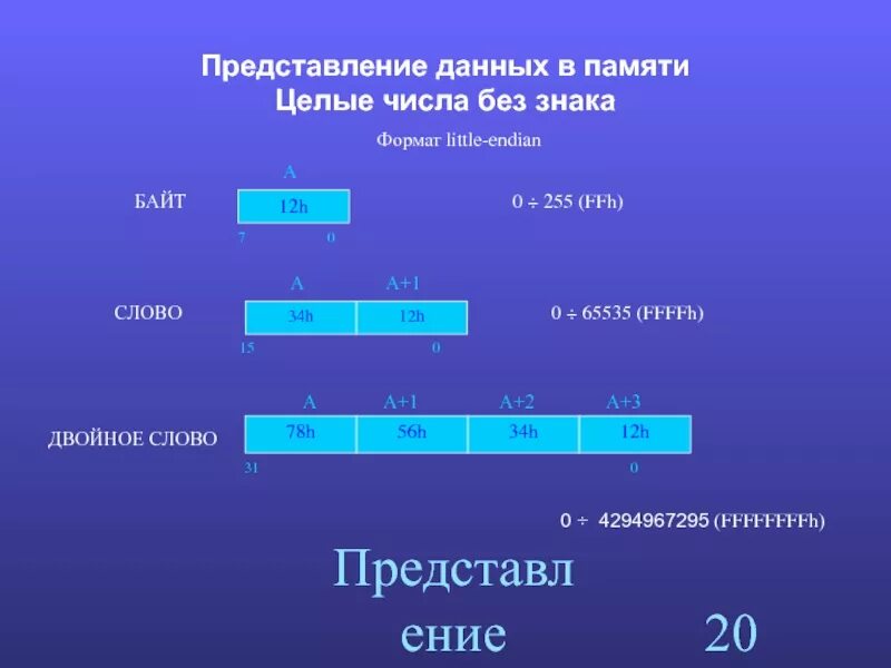 Стек целых чисел. Целые числа без знака. Форматы представления данных. Представления целого числа без знака. Байтовое представление числа.