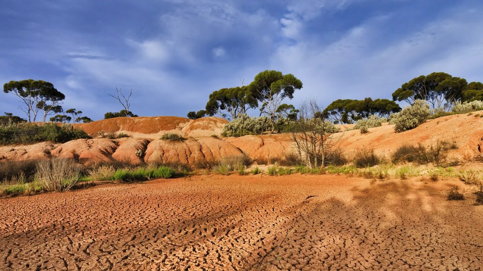 Засушливые области австралии. Красные ферраллитные почвы Австралии. Красно-желтые ферраллитные почвы Африки. Красно-желтые ферраллитные почвы Южной Америки. Почвы саванн Австралии.