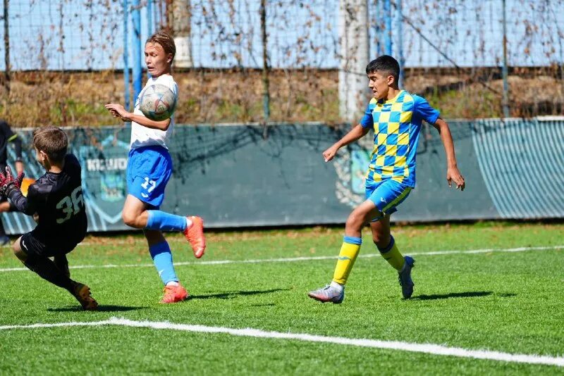 динамо благовещенск