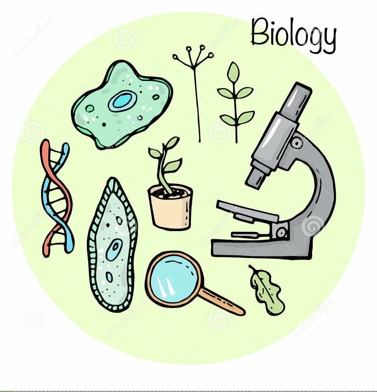 Рисунки по биологии. Предметы связанные с биологией. Рисунок на тему биология. Рисунки по Биолн. Легкая тема по биологии