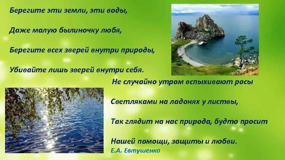 Беречь даже. Берегите эти земли эти воды даже малую былиночку любя. Береги свою любовь стихи. Любите и берегите жизнь. Берегите эти земли эти воды даже малую былиночку любя.