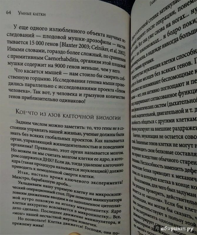 Брюс липтон клетка. Брюс липтон умные клетки. ядро клетки брюс липтон. ядро клетки брюс липтон заряд + и -.
