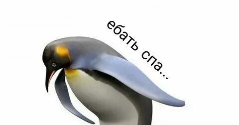 Спасибо боже за день погожий и за ненастный спасибо тоже - 66 фото