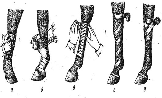 Техника наложения повязок животным