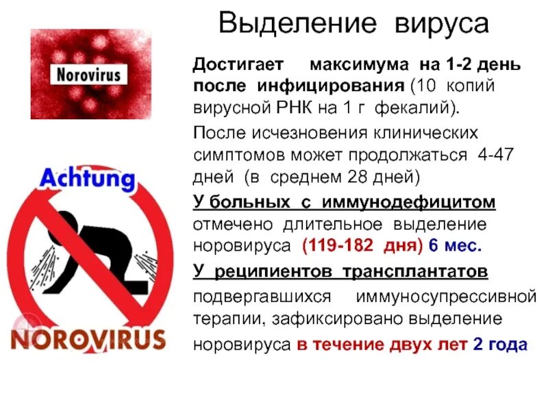 Норовирус. Вирус Норфолк. Норовирус клинические проявления.