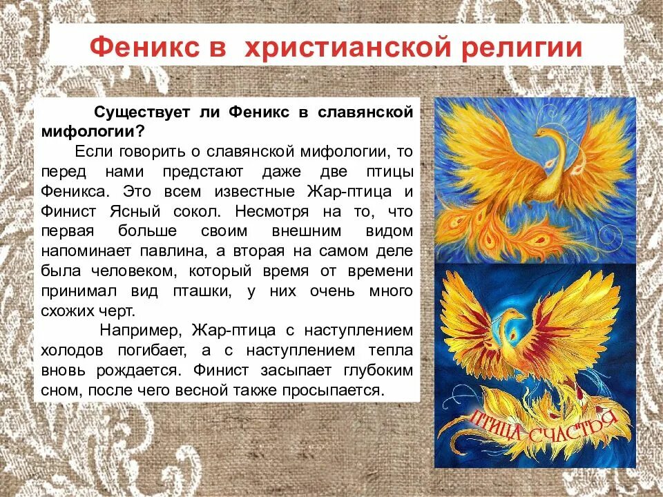 «Птица Феникс. «Финист – Ясный Сокол». Жар птица. Жар птица в славянской мифологии. Птица Феникс существует. Феникс кратко