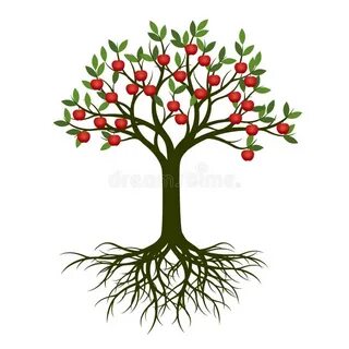 Корневая яблони