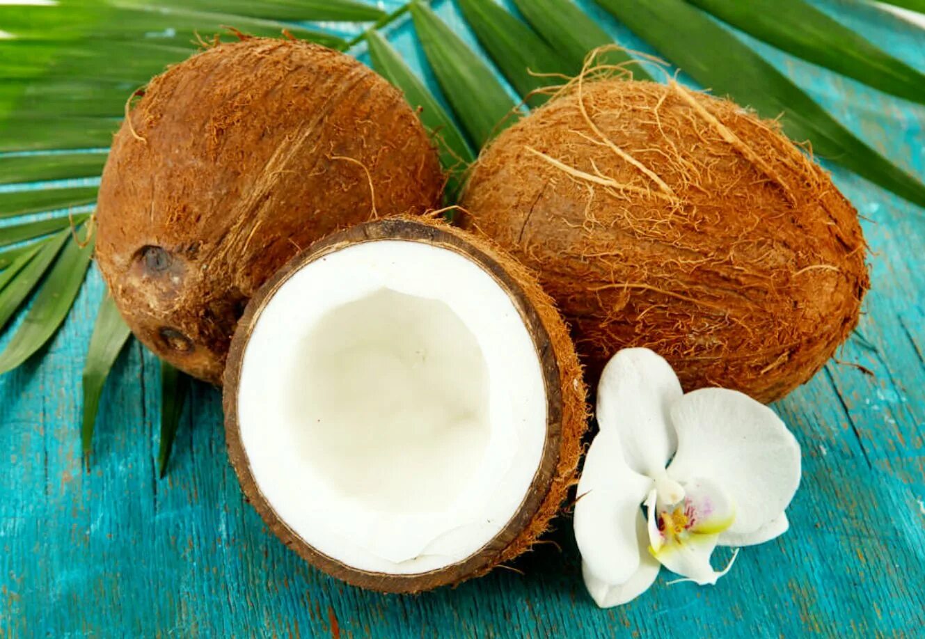 Coconut перевод на русский. Кокос дарахти. Скорлупа кокоса. Кокосовый орех. Цветок кокоса.