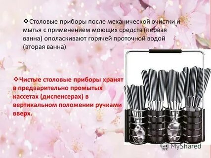 Санпин в детском саду вилки