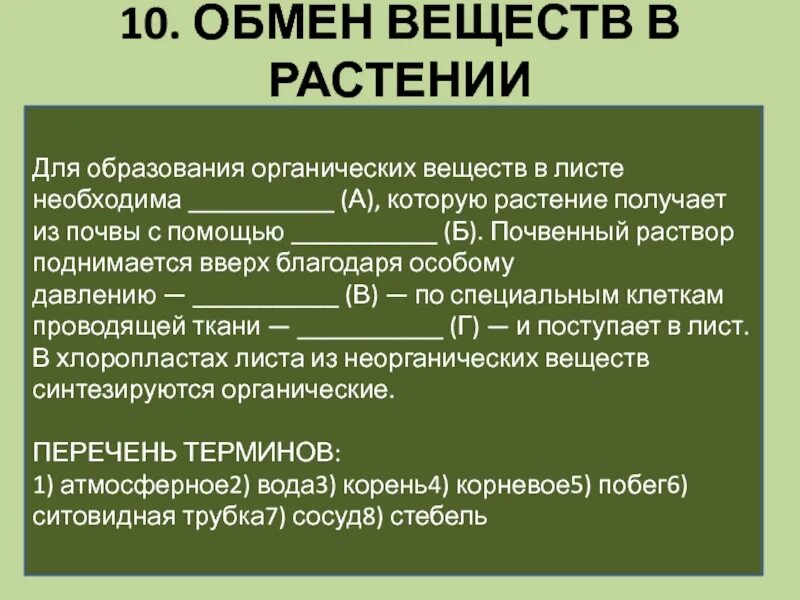 Обмен веществ у растений. Метаболизм растений. Обмен веществ листа. Для образования органических веществ в листе необходимо. Для образования в листе необходима вода