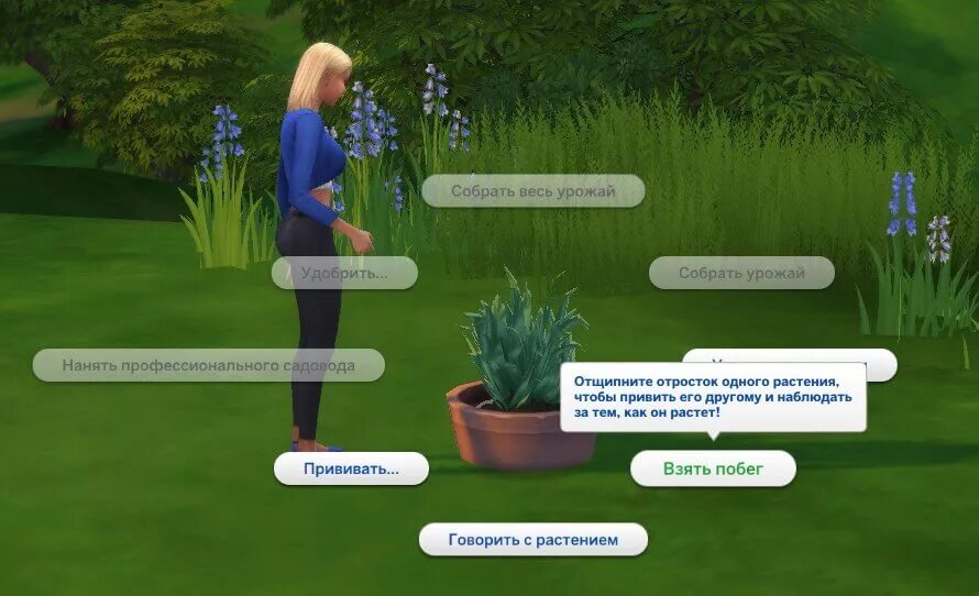 Как сбежать в симс 4. Симс 4 растения. Цветок смерти симс. The SIMS 4 коллекция растений. Цветы в симс 4 названия.