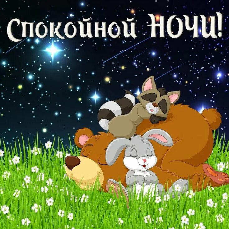Хороших снов милый