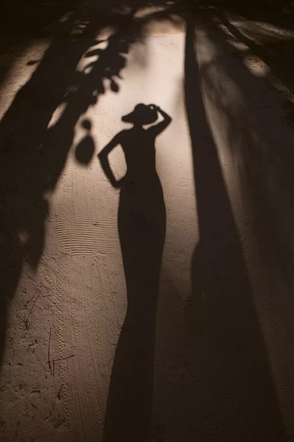 художественные средства изображения. лешека буйновский. прозрачные неведомые тени блок. страх в тумане. неизведанная тень.