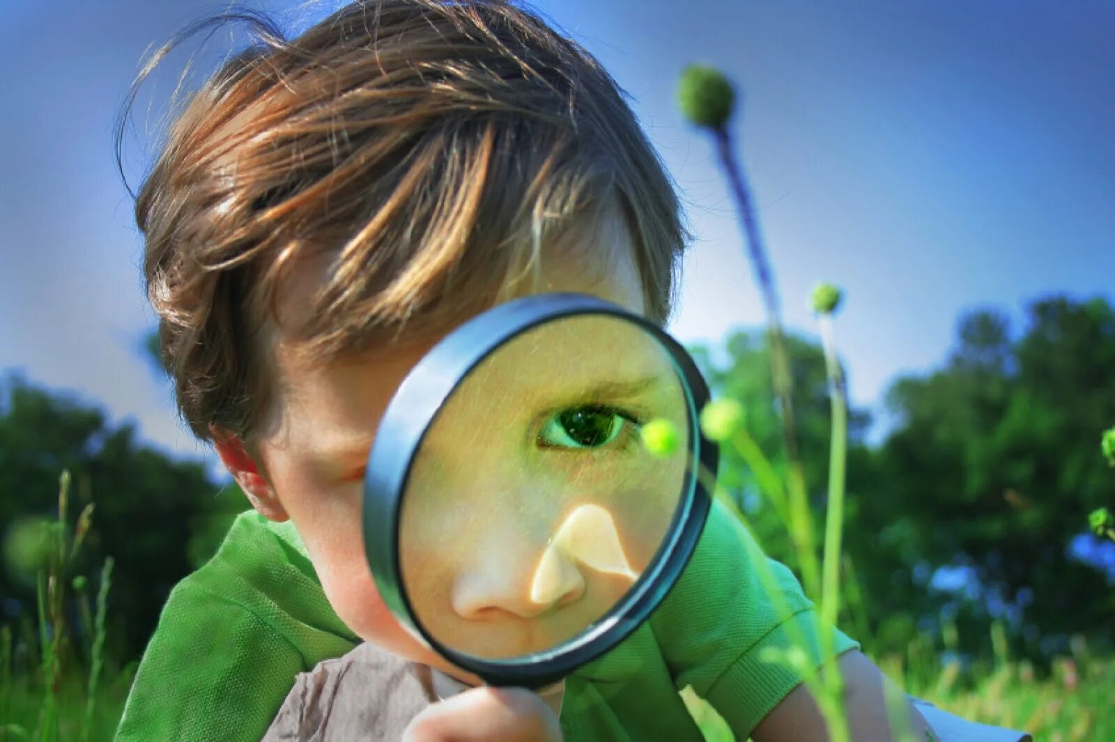 Kid search