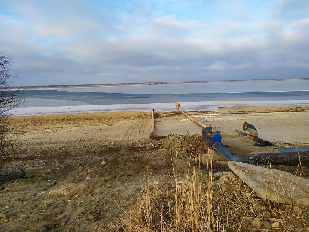 Рыба цимлянского водохранилища