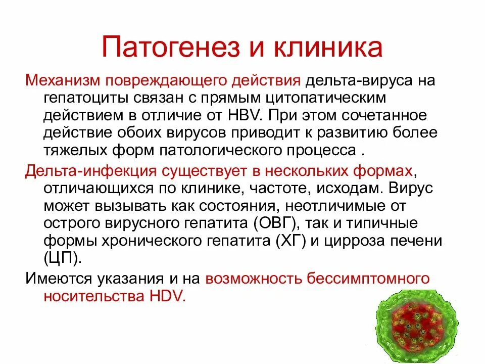 Клиника гепатита с. Вирус гепатита Дельта патогенез. Патогенез вирусного гепатита в. Этиология вирусных гепатитов. Вирус гепатита а патогенез.