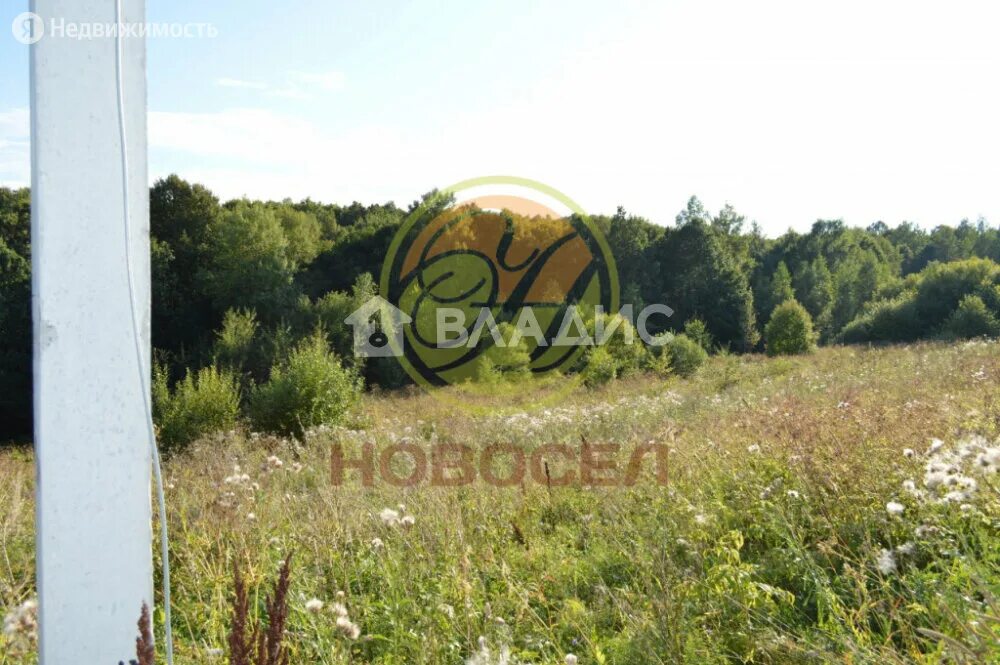 ужасные дороги в калуге. участок 14 соток. деревня починки нижегородская область. починки калуга. калуга.