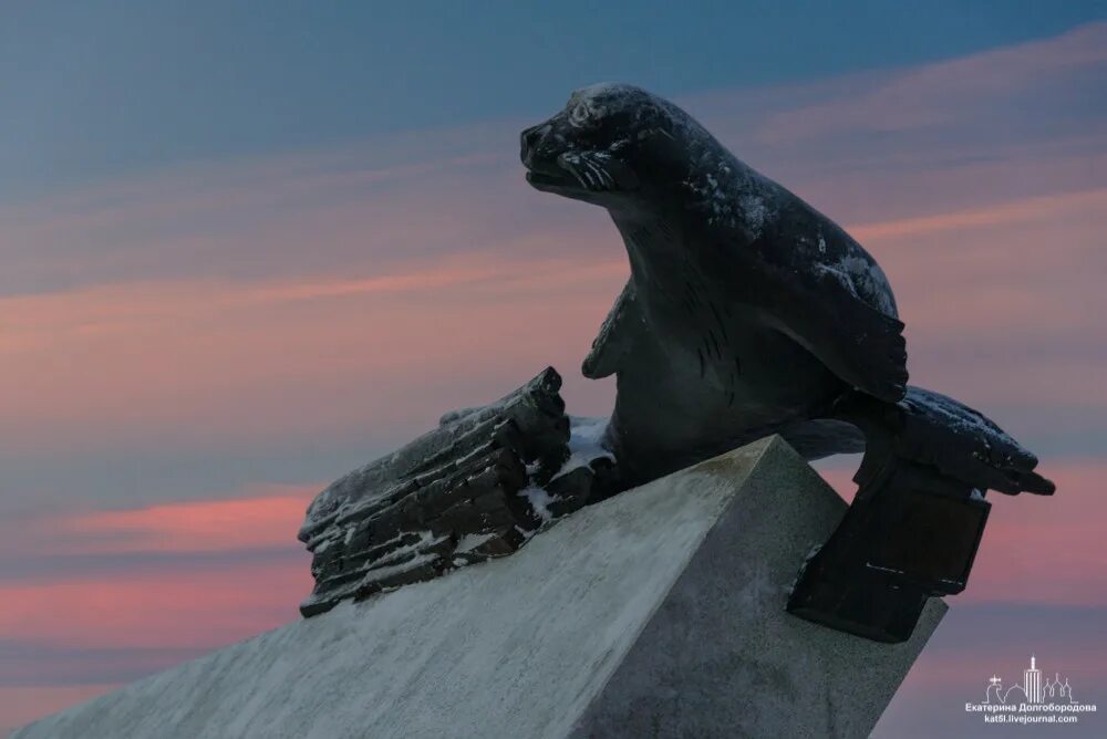 Тюлень спаситель. Тюленю - спасителю жителей архангельска и блокадного ленинграда». Памятник тюленю-спасителю в архангельске. Тюлень спаситель. Достопримечательности архангельска памятник тюленю.